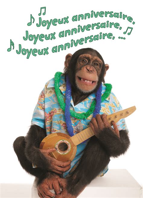 gif joyeux anniversaire humour pour femme|Femme Drôle Joyeux Anniversaire Humour – Texte, Image & GIF